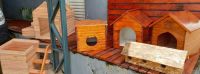 Presos de Lavras fabricam casas de madeira para ajudar ONG que acolhe animais abandonados