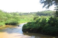 Defesa Civil disponibiliza acesso para acompanhamento do nível do Rio Bananeiras