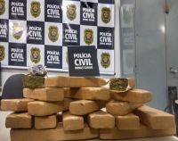 Polícia Civil apreende mais de 15 kg de maconha e prende três suspeitos de tráfico