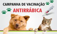 Campanha de vacinação antirrábica será neste sábado em Lafaiete