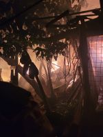 Incêndio em bambuzal ameaça residências