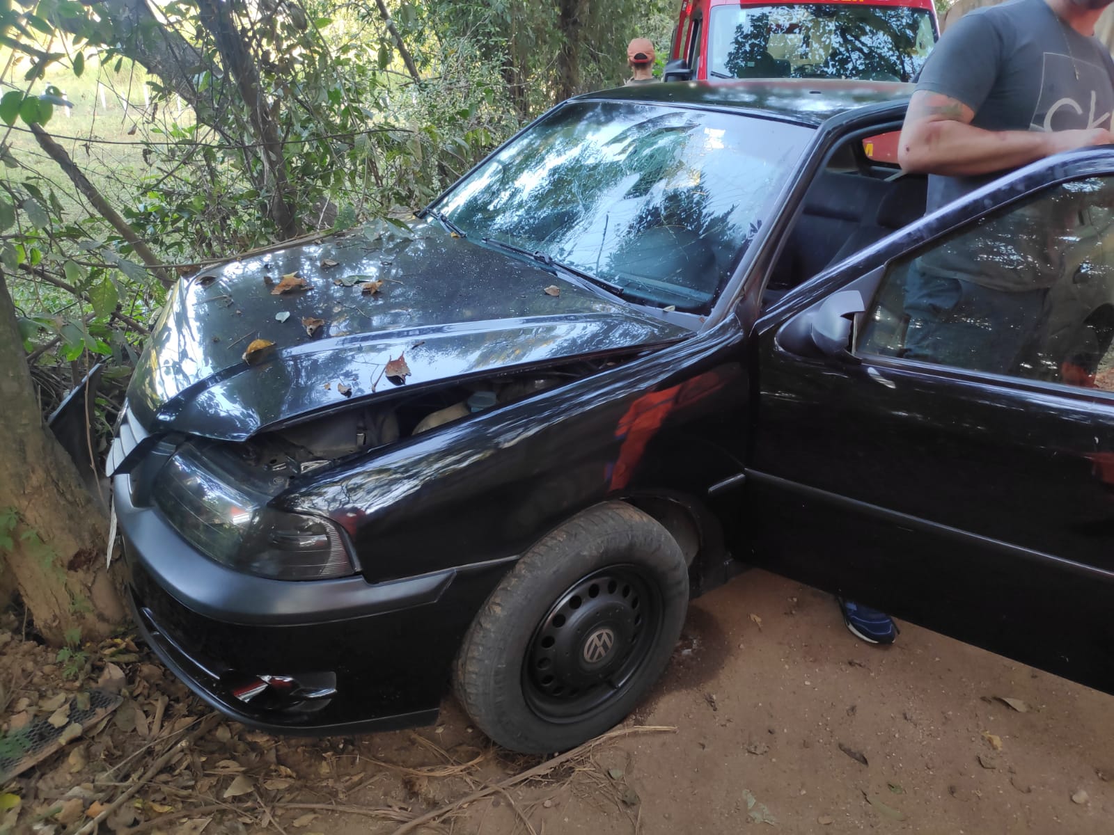 Motorista perde controle de veículo e bate em árvore