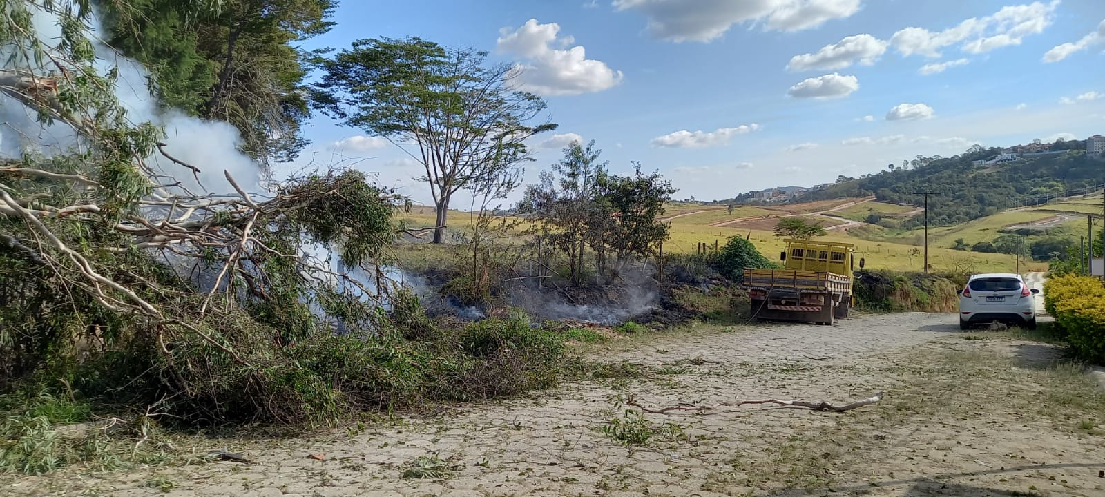 Incêndio em vegetação coloca em risco rede elétrica