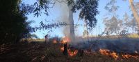 Bombeiros combatem incêndio em vegetação próximo a Museu