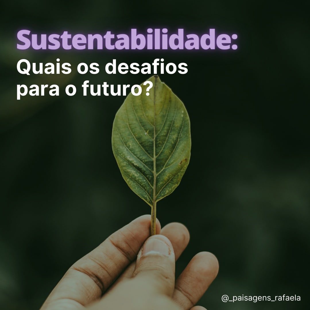 Sustentabilidade: Quais os desafios para o futuro?