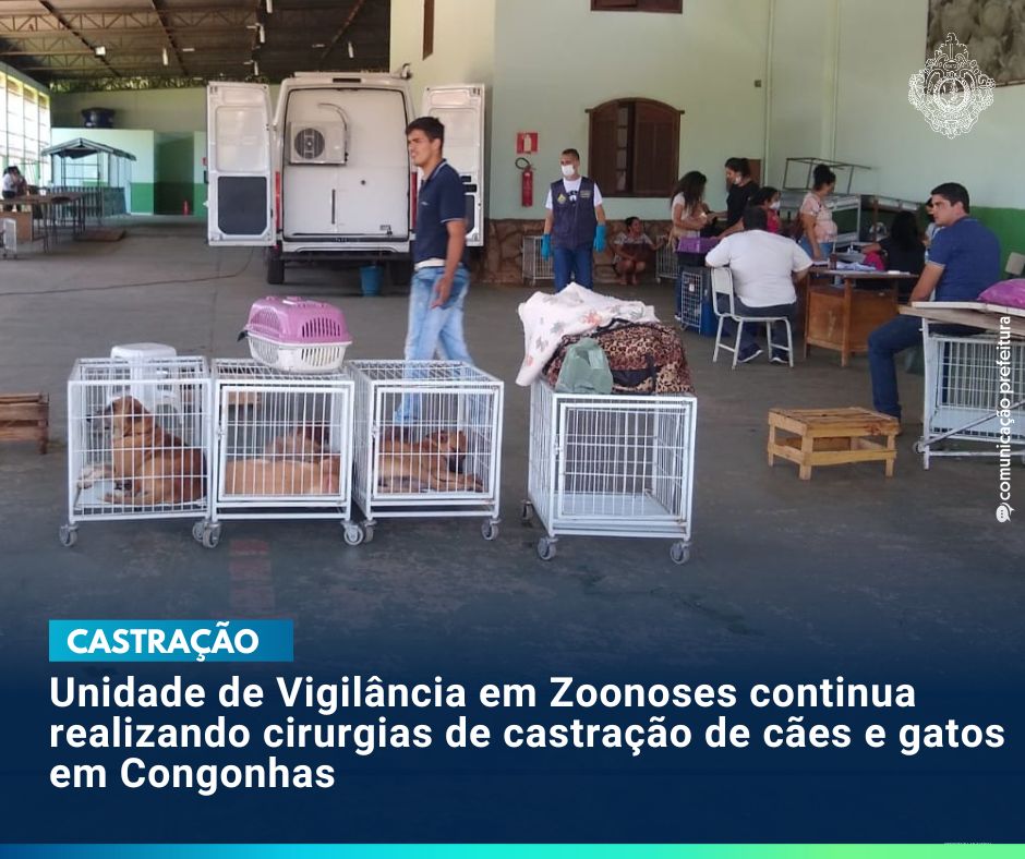 Unidade de Vigilância em Zoonoses continua realizando cirurgias de castração de cães e gatos em Congonhas
