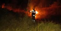 Bombeiros combate incêndio em vegetação às margens da rodovia