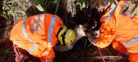 “Bombeiro Militar resgata animal em buraco.”