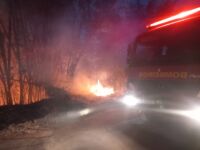 Bombeiros combatem incêndio em bambuzal no São Dimas