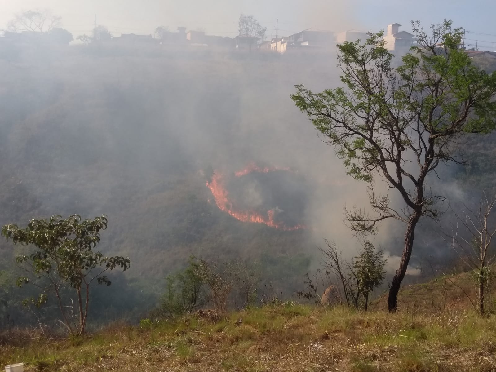 Militares do Corpo de Bombeiros combatem incêndio em vegetação próximo a residências no bairro Bandeirantes