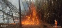 Bombeiros combatem dois incêndios em vegetação e chamas ameaçaram fazenda