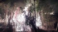 Incêndio em vegetação – chamas chegaram a 5 metros de altura