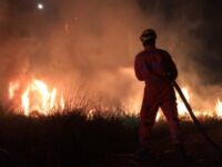 Incêndio destrói área de pasto equivalente a 5 campos de futebol em Cristiano Otoni