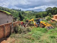 Bombeiros retiram árvore de grande porte tombada sobre casa em Ouro Branco