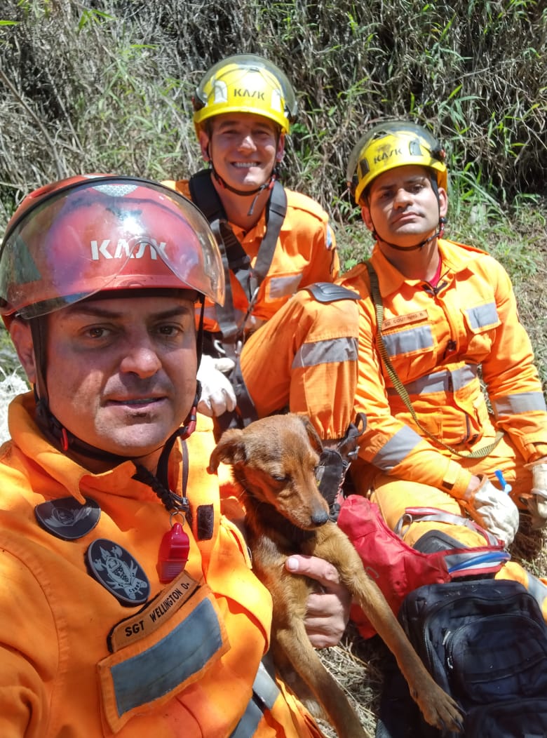 Bombeiros  resgatam cão que estava  desaparecido em pedreira