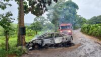 Bombeiros socorrem vítima após carro bater em árvore