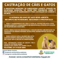 Agenda para castração de cães e gatos  será aberta início de fevereiro em Lafaiete