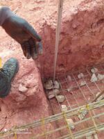 Bombeiros capturam réptil em canteiro de obras em Lafaiete