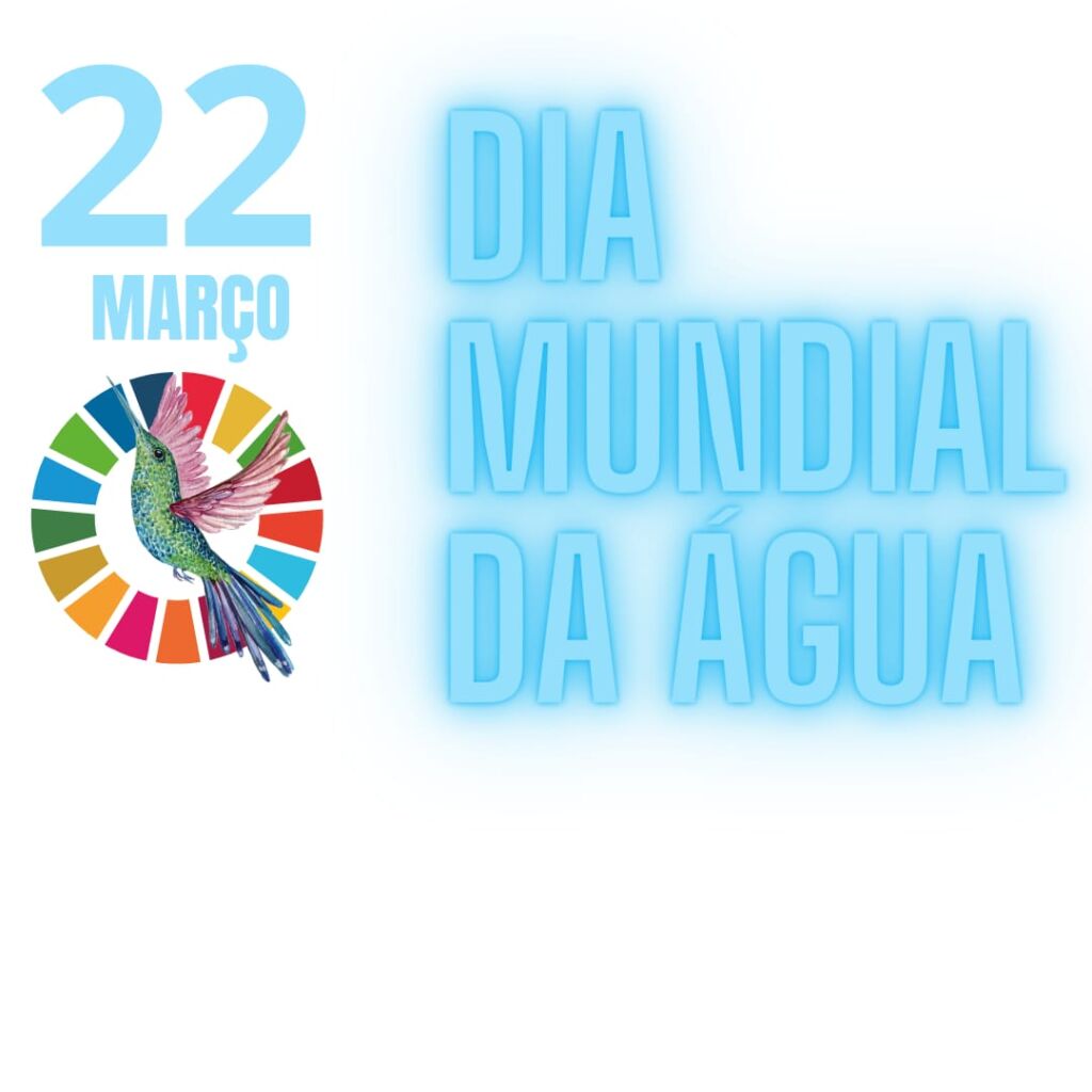 Dia Mundial da Água 2023: ONU propõe que as pessoas sejam beija-flores na gestão da crise da água