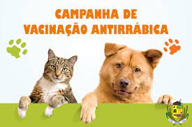 Vacinação para cães e gatos na zona rural de Lafaiete vai até 22 de junho. Fique atento às datas e horários em sua localidade.