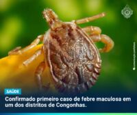 Confirmado primeiro caso de febre maculosa em um dos distritos de Congonhas.