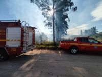 Bombeiros combatem incêndio em mata nos bairros Paulo VI e Amaro Ribeiro