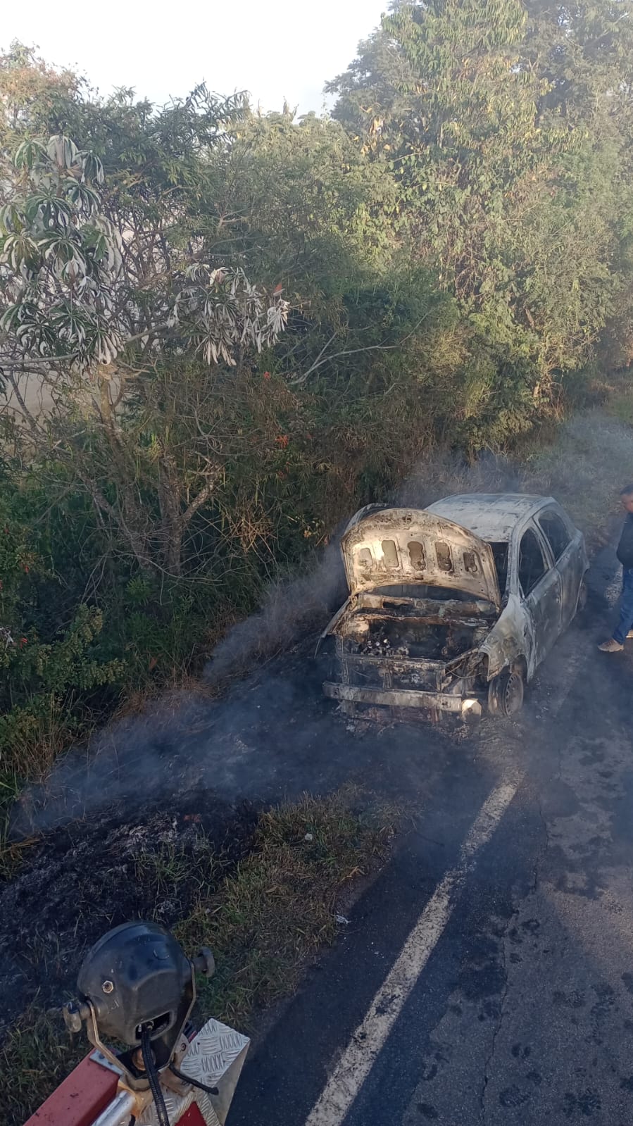 Bombeiros combatem fogo em veículo em rodovia