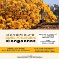 Alterada a data de entrega das artes para a III Exposição de Artes Ipês Amarelos de Congonhas