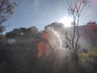 Bombeiros combatem incêndio em pasto próximo às residências