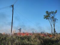 Incêndio criminoso em vegetação às margens da BR 040 em Lafaiete