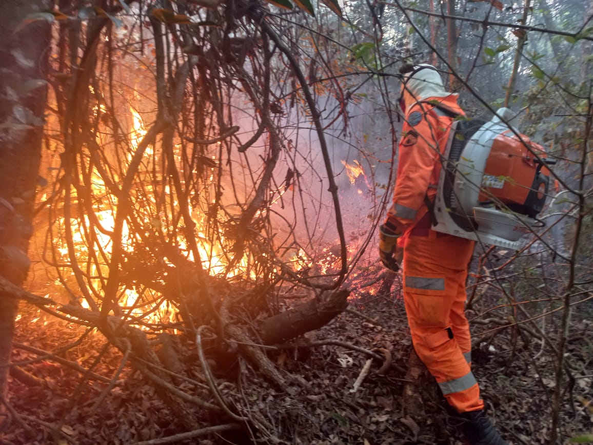 Queluzito – Incêndio em fazenda destrói 3 hectares de mata