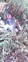 Polícia recupera moto furtada no bairro Pires em Congonhas