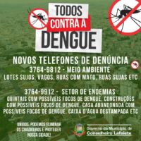 Novos números para denúncias de focos do mosquito Aedes aegypti:
