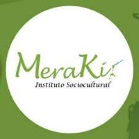 Balanço financeiro do Instituto Sociocultural Meraki