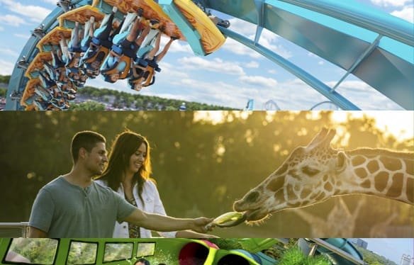 United Parks Black Friday oferece até 40% de desconto - Imagem do artigo
