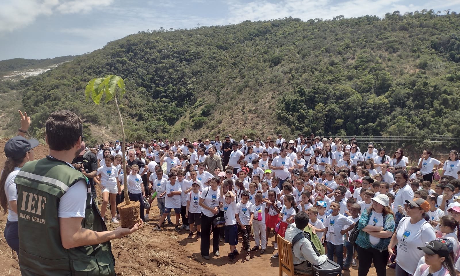 Plantio de 2 mil mudas mobiliza estudantes em Lima Duarte - Imagem do artigo