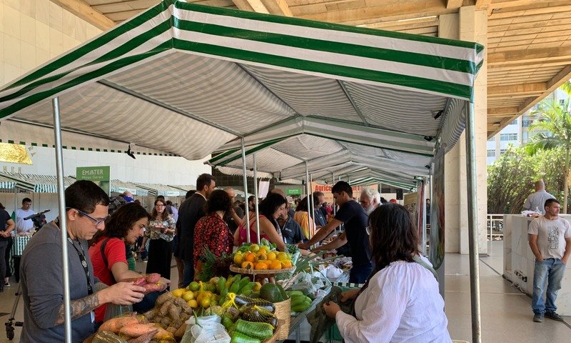 Feiras livres impulsionam renda em 700 cidades de MG - Imagem do artigo original