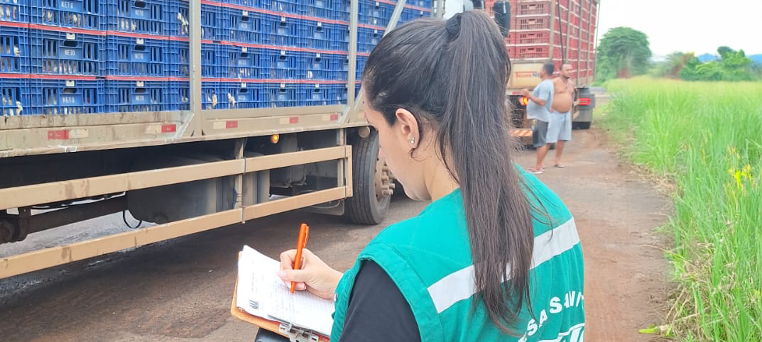 Consulta pública sobre trânsito de animais em Minas - Imagem do artigo