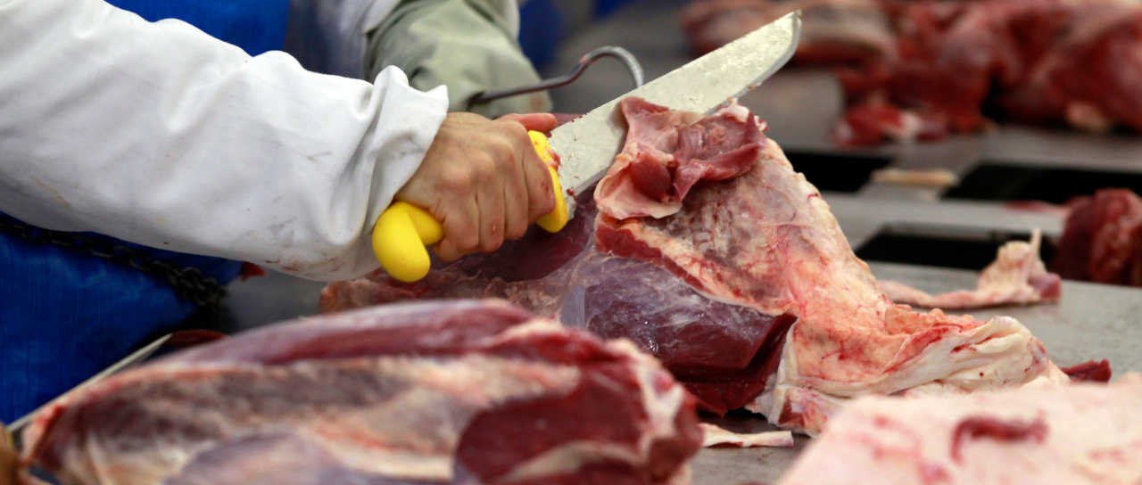 Exportação de carne bovina do Brasil estável em 2026 - Imagem do artigo