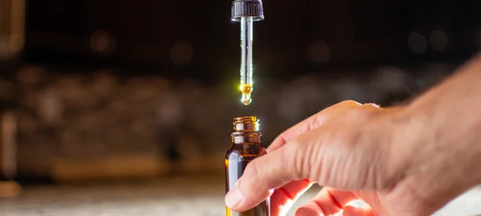 Regras da Anvisa para cannabis medicinal liberam cultivo - Imagem do artigo