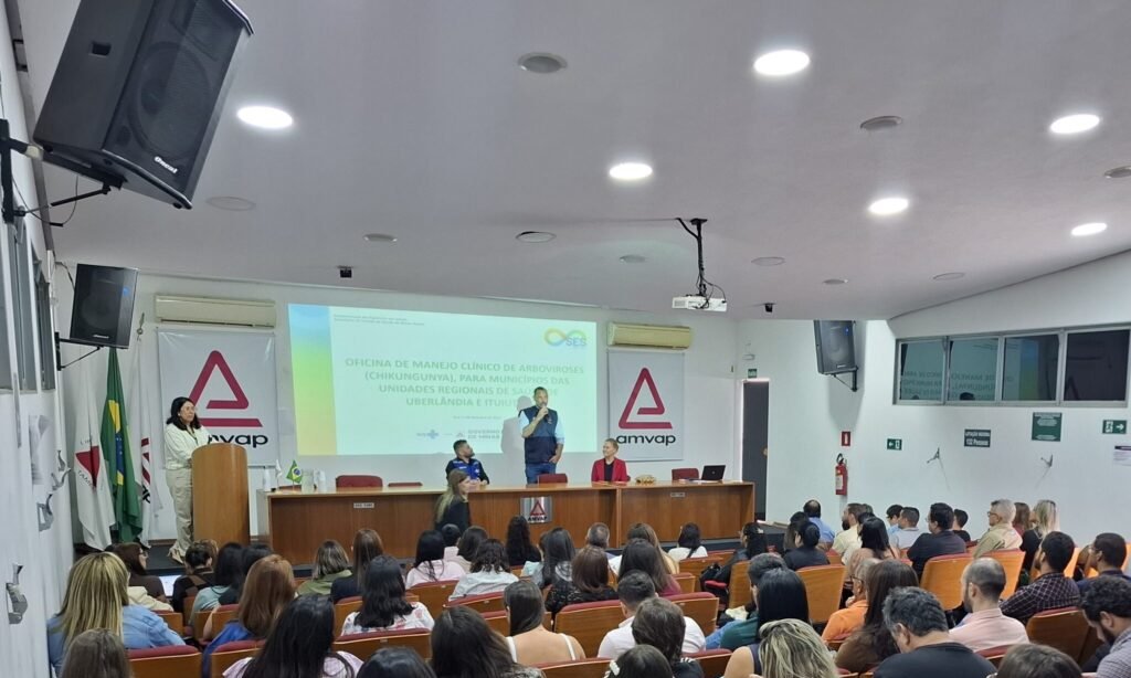 Chikungunya: SRS Uberlândia recebe oficina de capacitação - Imagem do artigo