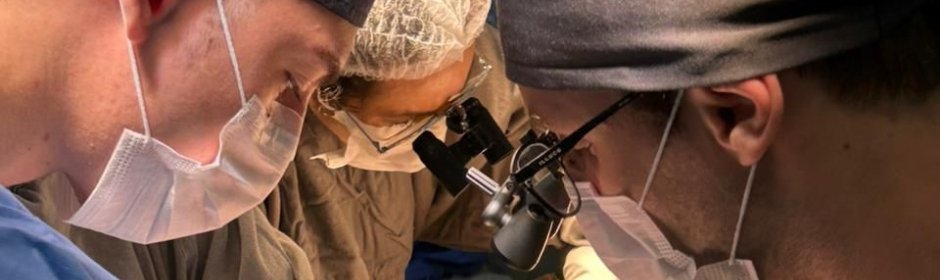 Hospital Júlia Kubitschek adota retalhos microcirúrgicos no SUS - Imagem do artigo