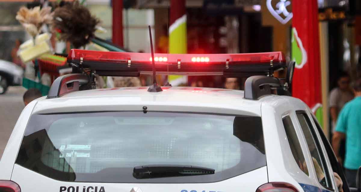 Cachorros mortos são encontrados em Ewbank da Câmara - Imagem do artigo