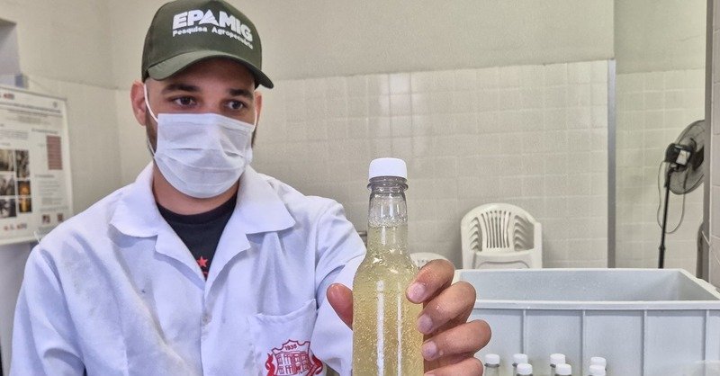 Bebida de soro de leite da EPAMIG avança em validação - Imagem do artigo original