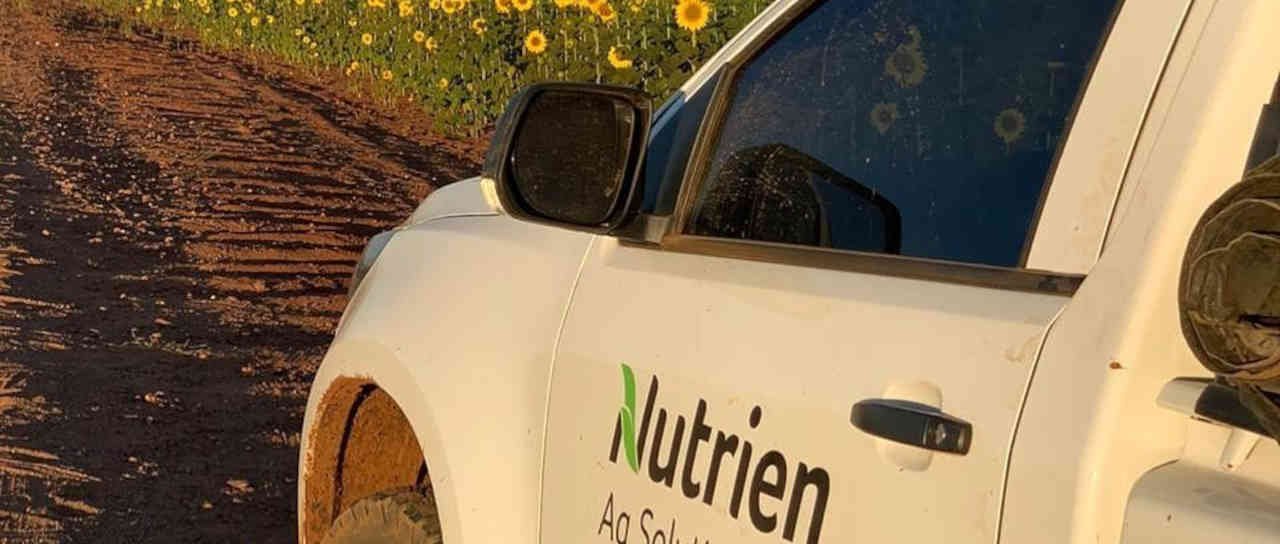 Demanda por potássio deve subir, projeta Nutrien - Imagem do artigo