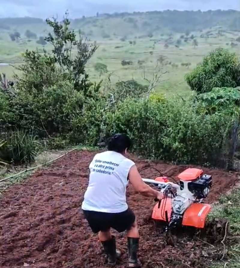 Tratoritos elevam produção agrícola no Norte e Nordeste de MG - Imagem do artigo original