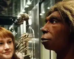 Mulheres humanas e neandertais: estudo revela cruzamentos - Imagem do artigo