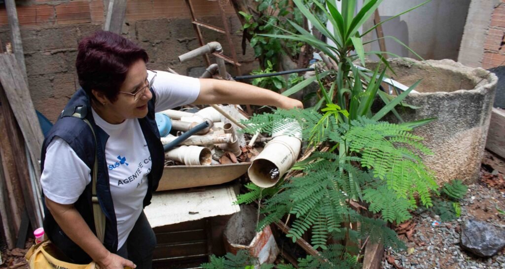 Infestação do Aedes aegypti em Minas: 1º LIRAa 2026 - Imagem do artigo