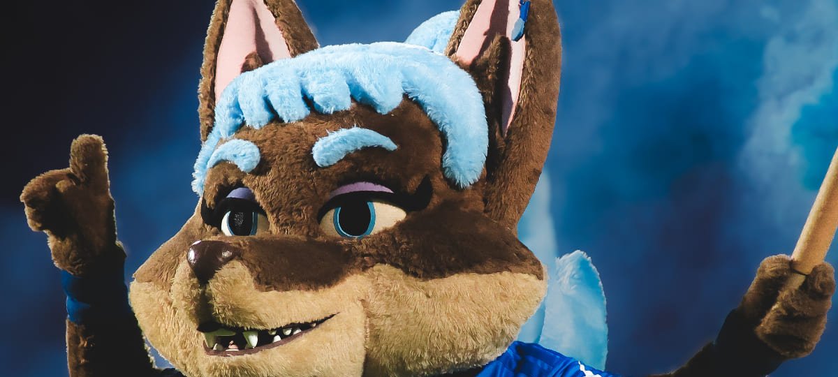 Nova mascote do Cruzeiro enfrenta ataques misóginos - Imagem do artigo