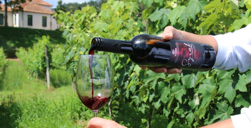 Denominação de Origem para vinhos de inverno do Sul de Minas - Imagem do artigo original